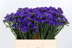 Lim S Cryst Dark Blu 40cm