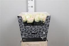 R Gr Bal D Summerhou 70cm