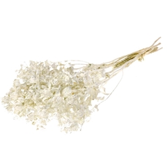 Droogbl Bewerkt H% 50cm 90gram