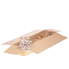 Ov Dec Mat 21%