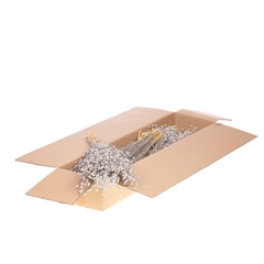 Droogbl Bewerkt H% 40cm