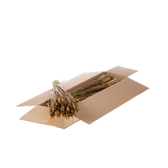 Siergr Ov Klb H% 55cm 240gram