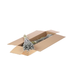Siergr Ov Klb H% 55cm 240gram