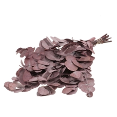 Euca Globu Klb 21%