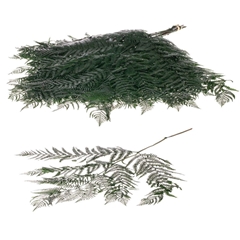Euca Globu Klb 21% 60gram