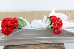 Hydr Other 65cm 18cm Ø