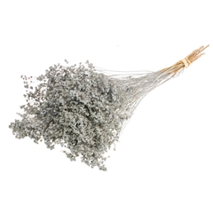Droogbl Bewerkt H% 40cm 130gram