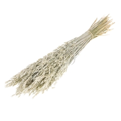Siergr Ov Klb H% 60cm 290gram