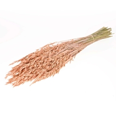 Siergr Ov Klb H% 60cm 290gram