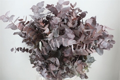 Euc Cin Klb P Bunch H% 70cm 200gram