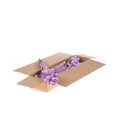 Droogbl Bewerkt H% 55cm 150gram
