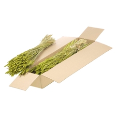 Siergr Ov Klb H% 55cm 240gram