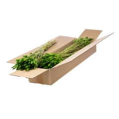 Siergr Ov Klb H% 45cm 80gram