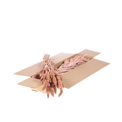 Siergr Ov Klb H% 60cm 140gram