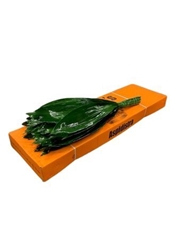 Aspidistra E Per Bunch 70cm
