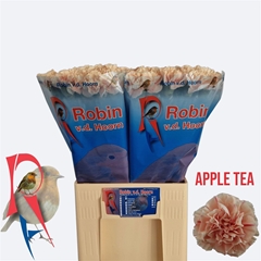 Di St Apple Tea