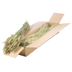 Ov Dec Mat 21%