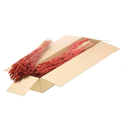 Siergr Ov Klb H% 55cm 240gram