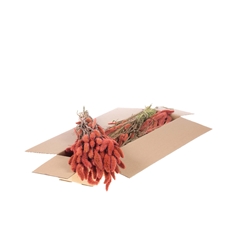 Siergr Ov Klb H% 60cm 140gram