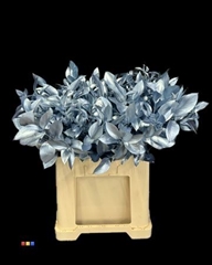 Ruscus Metallic Light Blue