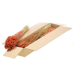 Siergr Ov Klb H% 55cm 240gram