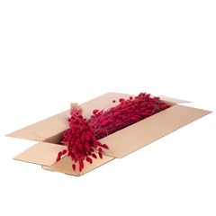 Siergr Ov Klb H% 45cm 80gram