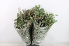 Euc Ov Met Bes P Bs 70cm 200gram