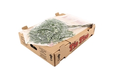 Leatherleaf 55cm