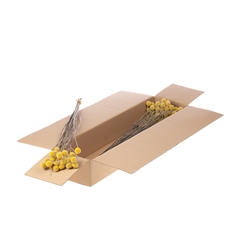Dried Flowers 100 Gram 55cm