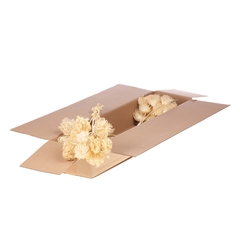 Droogbl Bewerkt H% 50cm
