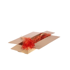Droogbl Bewerkt H% 55cm