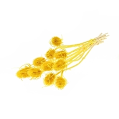 Droogbl Bewerkt H% 55cm 70gram