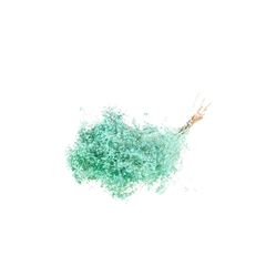 Droogbl Bewerkt H% 40cm 100gram