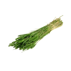 Siergr Ov Klb H% 55cm 240gram