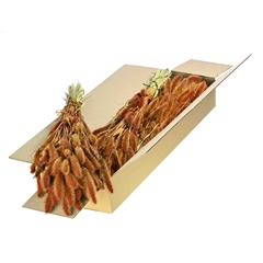 Siergr Ov Klb H% 60cm 140gram