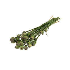Droogbl Bewerkt H% 55cm 150gram