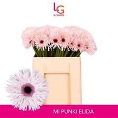 Ge Ms Punki Elida 50cm 7cm Ø