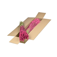 Siergr Ov Klb H% 55cm 240gram