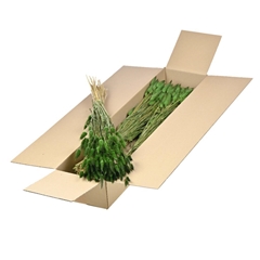 Siergr Ov Klb H% 45cm 80gram