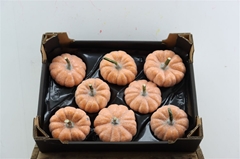 Halloween Toevoe 21%