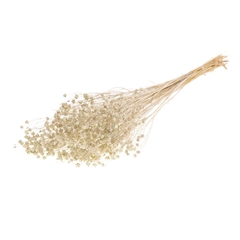 Droogbl Bewerkt H% 40cm 105gram