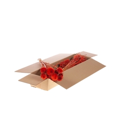 Droogbl Bewerkt H% 55cm 85gram