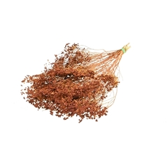 Droogbl Bewerkt H% 40cm 130gram