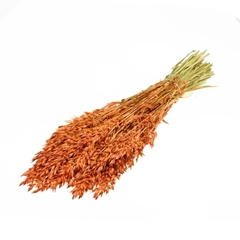 Siergr Ov Klb H% 60cm 190gram