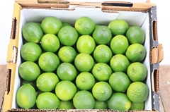 Sierfruit Bak 20gram