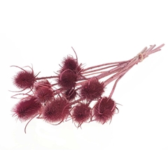 Droogbl Bewerkt H% 50cm 85gram