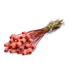 Droogbl Bewerkt H% 55cm 150gram