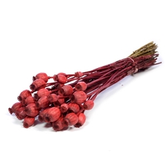 Droogbl Bewerkt H% 55cm 150gram