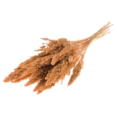 Droogbl Bewerkt H% 60cm 200gram