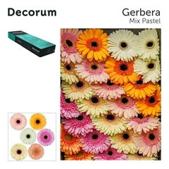 Ge Gr Mixed 45cm 10cm Ø